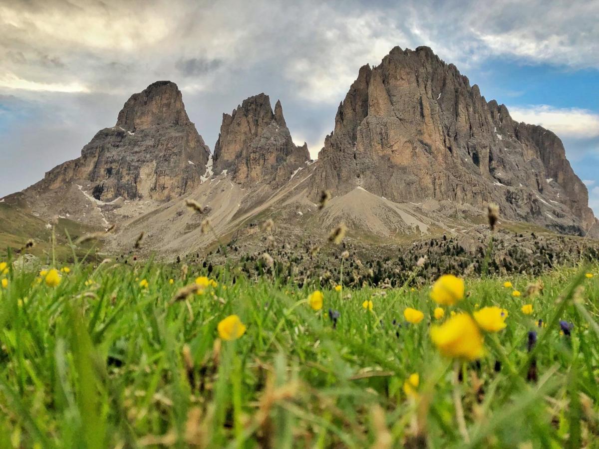 Passo Sella Dolomiti Mountain Resort Сельва-ди-Валь-Гардена Экстерьер фото