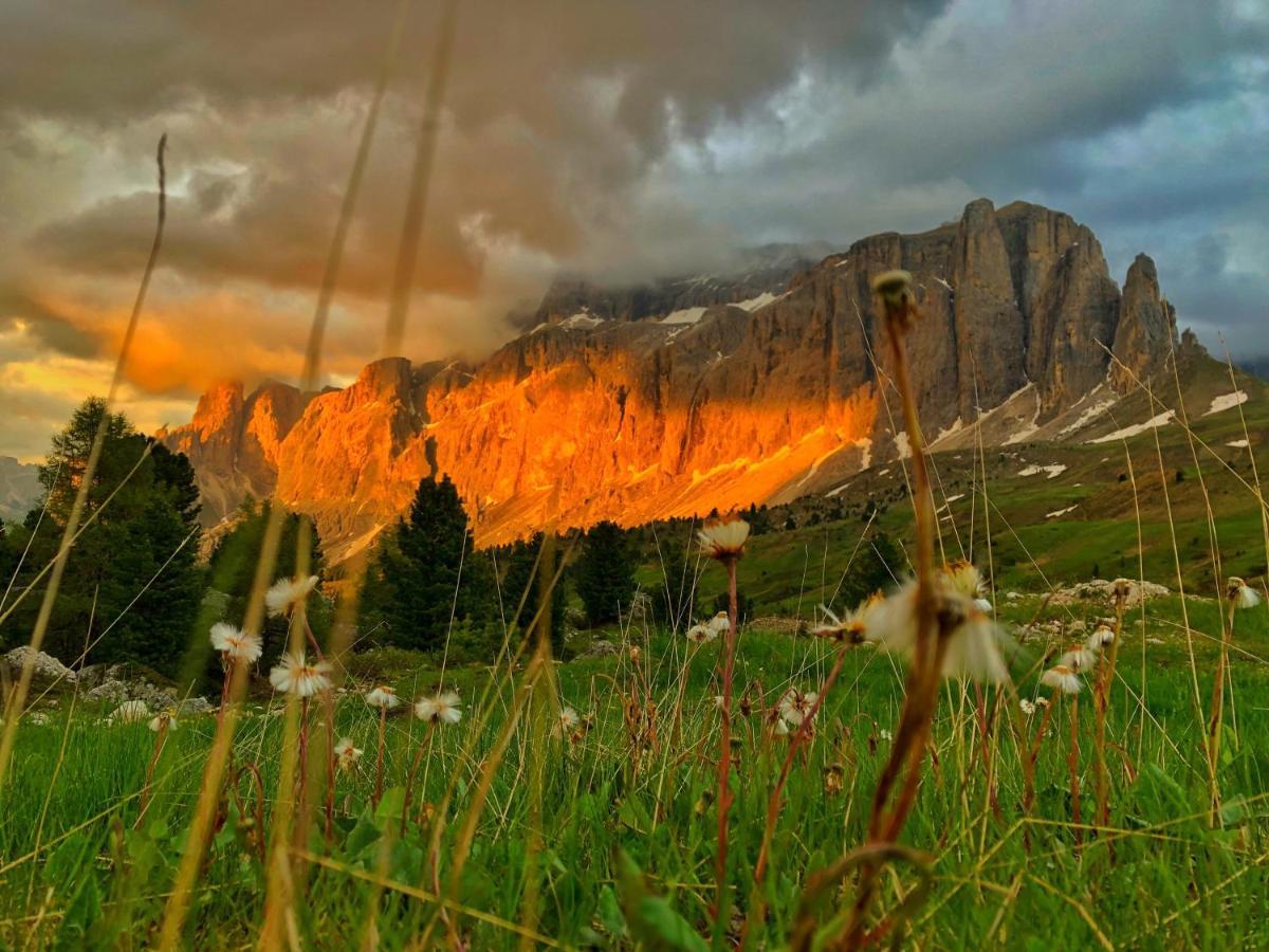 Passo Sella Dolomiti Mountain Resort Сельва-ди-Валь-Гардена Экстерьер фото